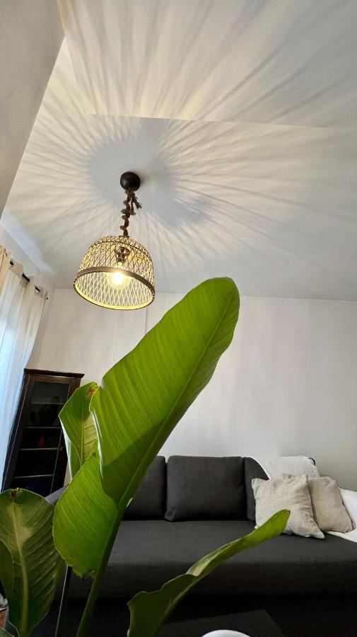 Piso Tarifa Centro, Cerca De La Playa Apartment Ngoại thất bức ảnh